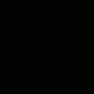 Meet your Posher, Eva